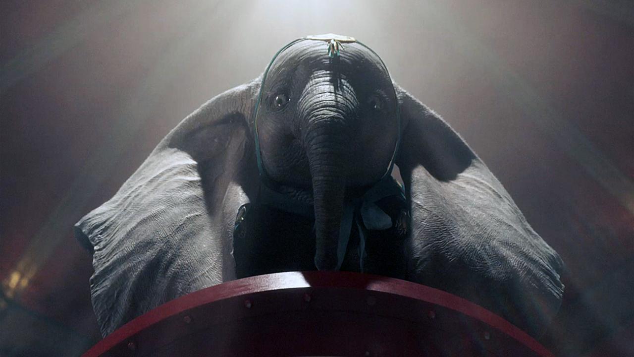Dumbo / 26.10.2025, 17:15