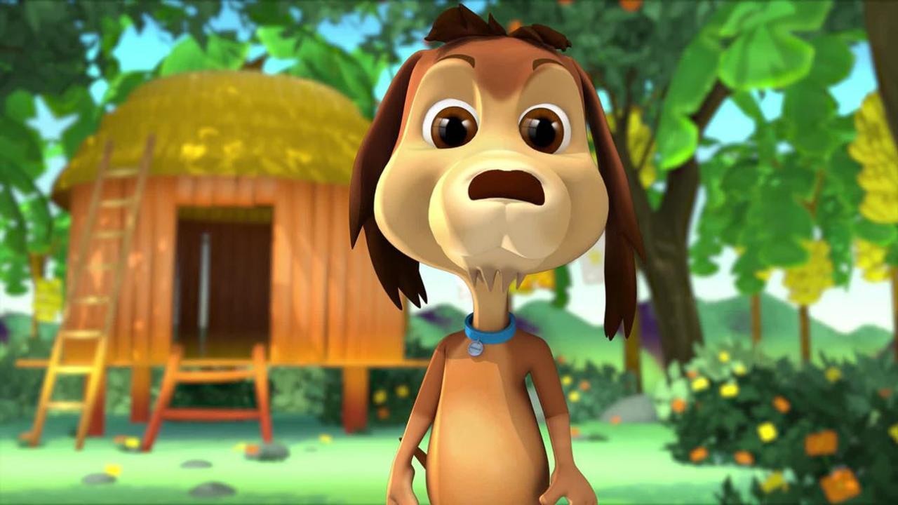 Mi perro Chocolo / 01.10.2025, 09:00