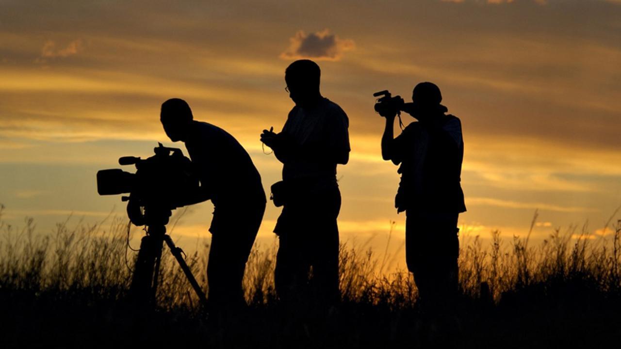 Zona docu