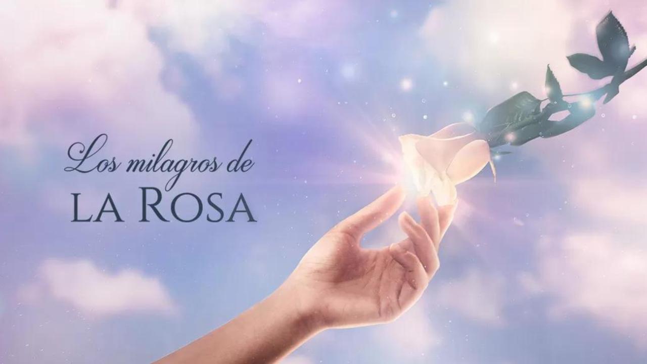 Los milagros de la rosa: Perú / 01.10.2025, 18:40