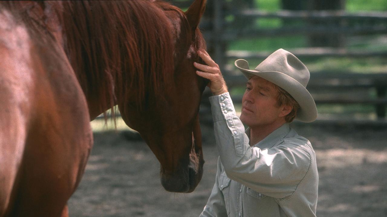 El hombre que susurraba a los caballos