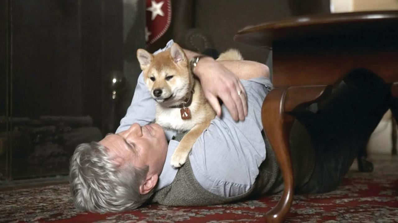 Hachi A Dog's Tale